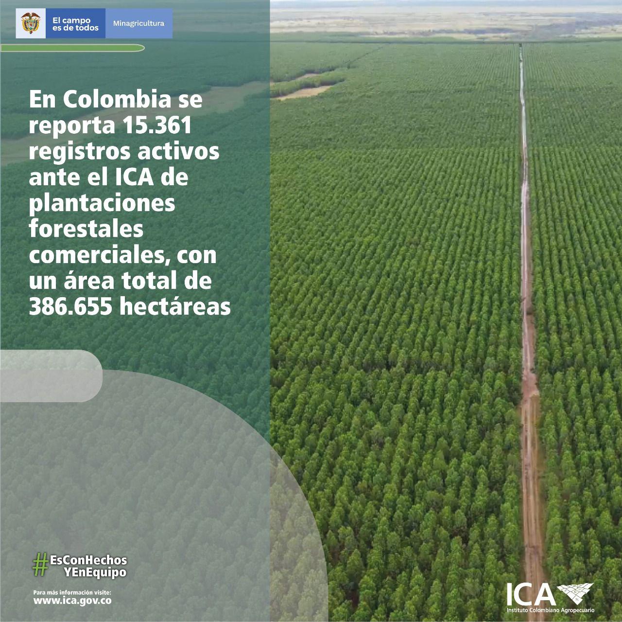 Imagen que contiene pasto, verde, campo, firmar

Descripción generada automáticamente